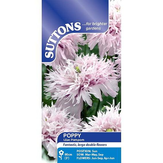 Poppy 'Lilac Pompom' - Seeds