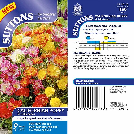 Poppy Californian Seeds - XL Jelly Beans