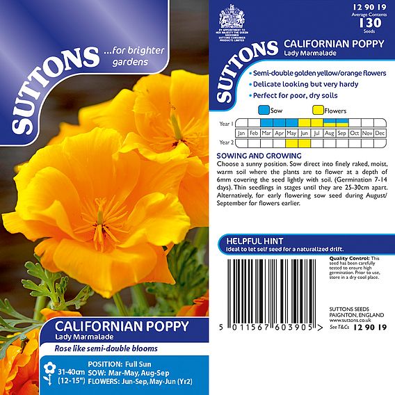 Californian Poppy 'Lady Marmalade' - Seeds