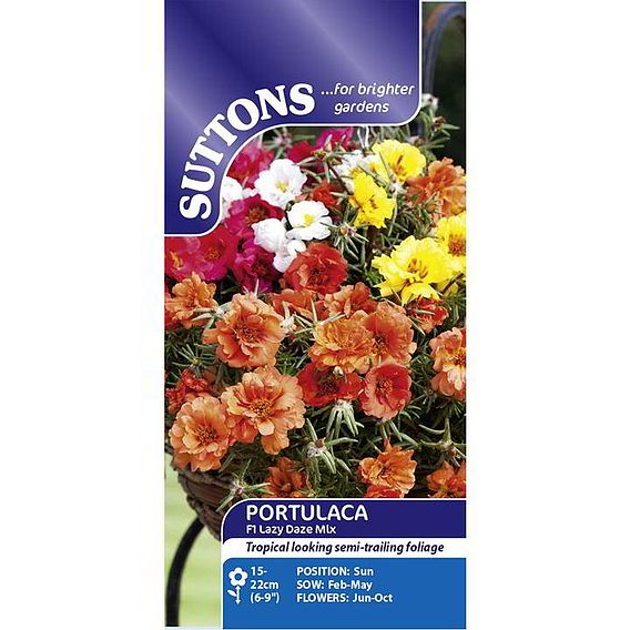 Portulaca F1 'Lazy Daze Mix' - Seeds