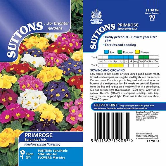 Primrose 'Springtide Mix' - Seeds