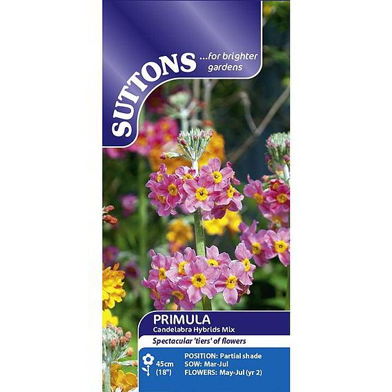 Primula Seeds - Candelabra Hybrids Mix