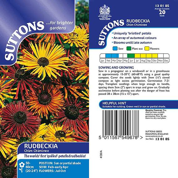 Rudbeckia 'Chim Chiminee' - Seeds