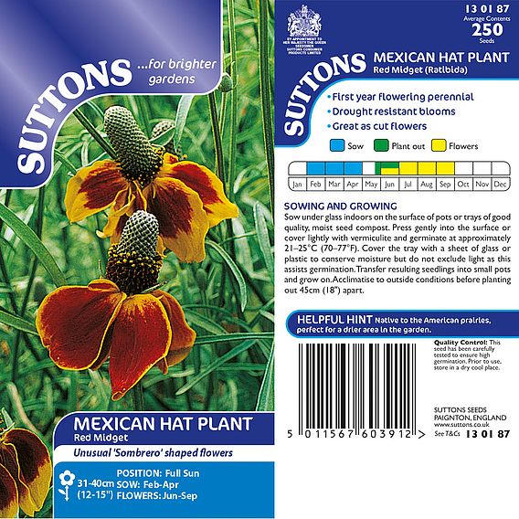 Mexican Hat Plant 'Red Midget' - Seeds