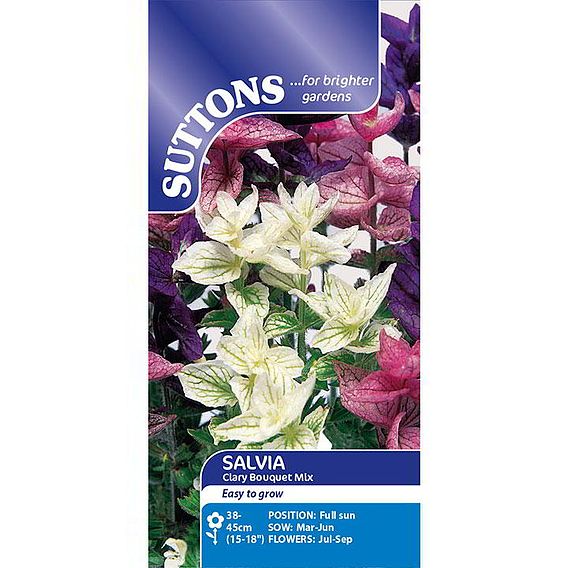 Salvia horminum Seeds - Bouquet Mix