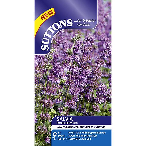 Salvia 'Purple Fairy Tale' - Seeds