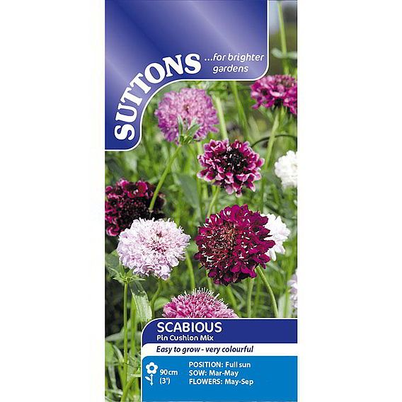 Scabiosa 'Pincushion Mix' - Seeds