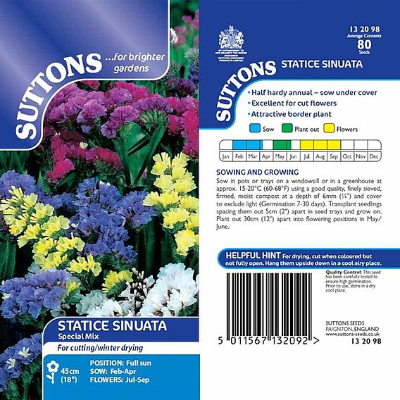 Statice 'Special Mix' - Seeds