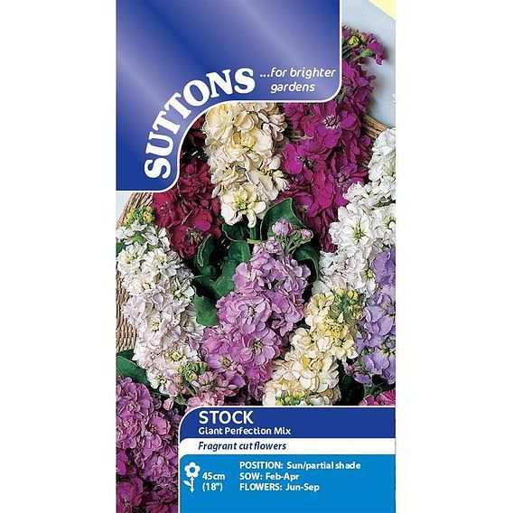 Stock 'Giant Perfection Mix' - Seeds