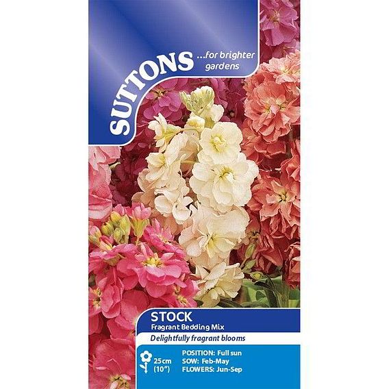 Stock Seeds - Fragrant Bedding Mix