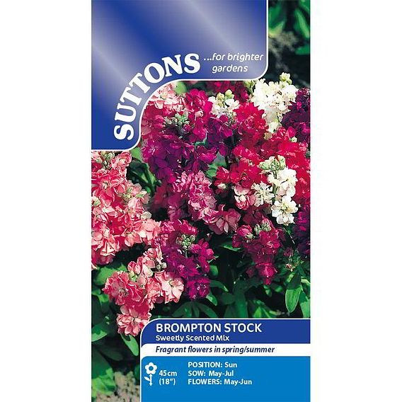 Stock 'Sweetly Scented Mix' - Seeds