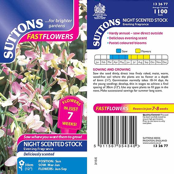 Night Scented Stock Seeds - Evening Fragrance