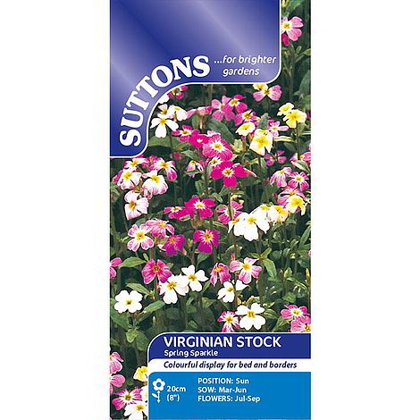 Virginia Stock Seeds - Spring Sparkle