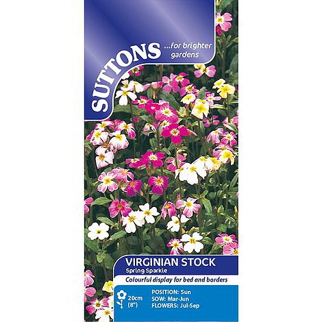 Virginia Stock 'Spring Sparkle' - Seeds