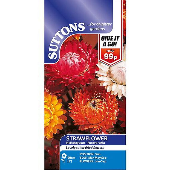 Strawflower Seeds - Forever Mix