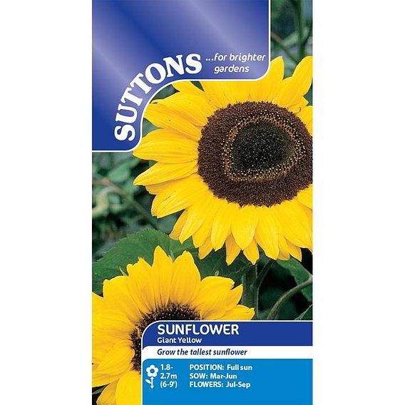 Sunflower Seeds - Giant Yellow