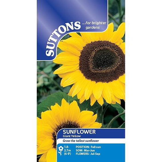 Sunflower 'Giant Yellow' - Seeds