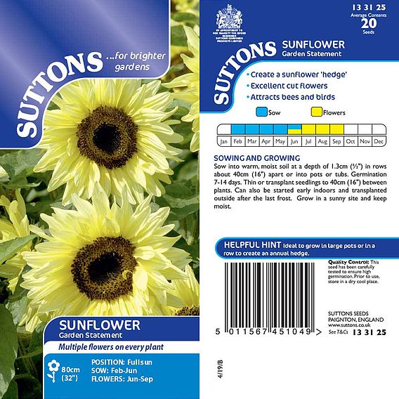 Sunflower Seeds - Garden Statement