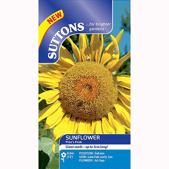 Sunflower 'Pike's Peak' - Seeds