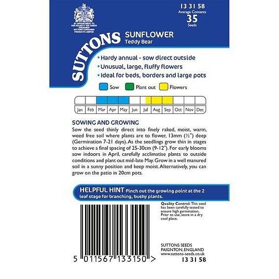 Sunflower 'Teddy Bear' - Seeds
