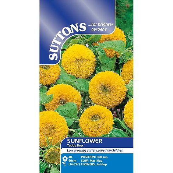 Sunflower 'Teddy Bear' - Seeds