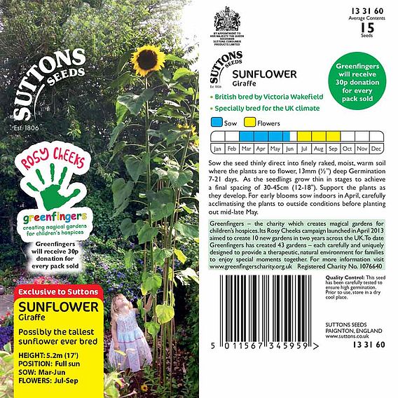 Sunflower Seeds - Giraffe