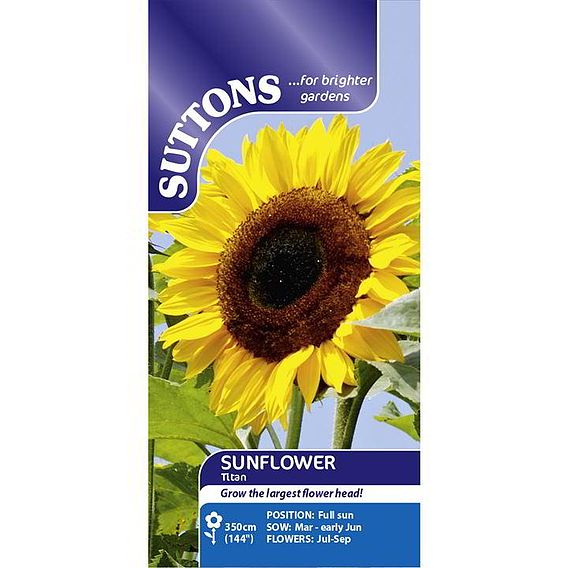 Sunflower 'Titan' - Seeds