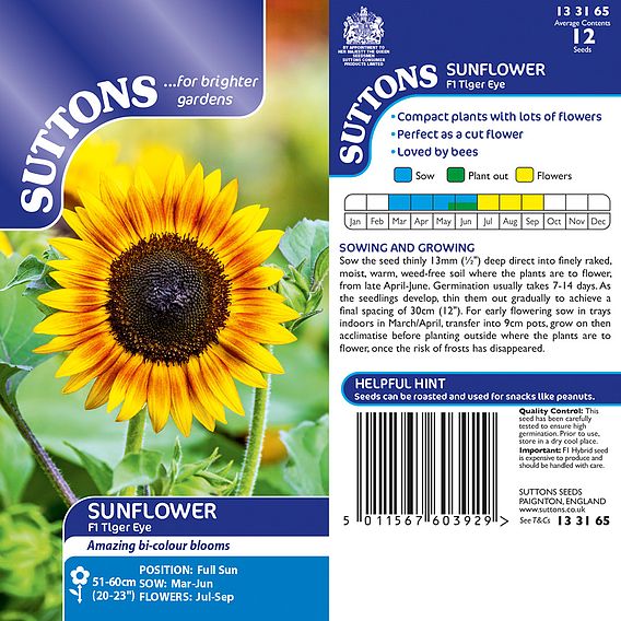 Sunflower Seeds - Tiger Eye F1