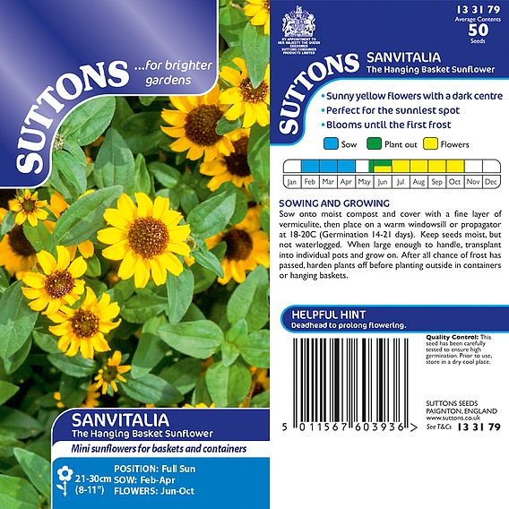 Sanvitalia Seeds - The Hanging Basket Sunflower