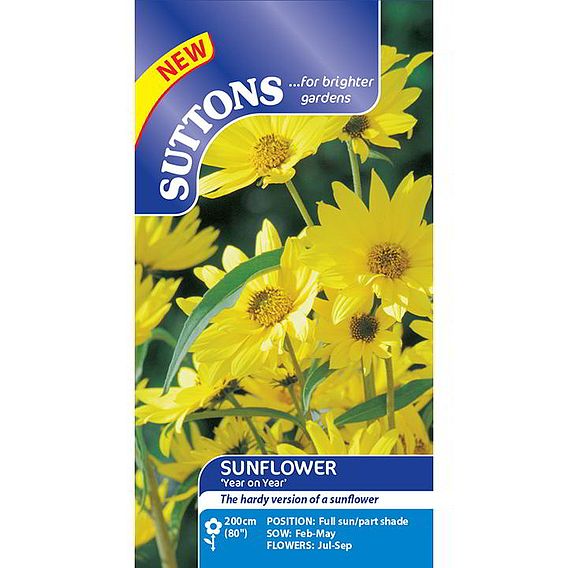 Sunflower 'Year on Year' - Seeds