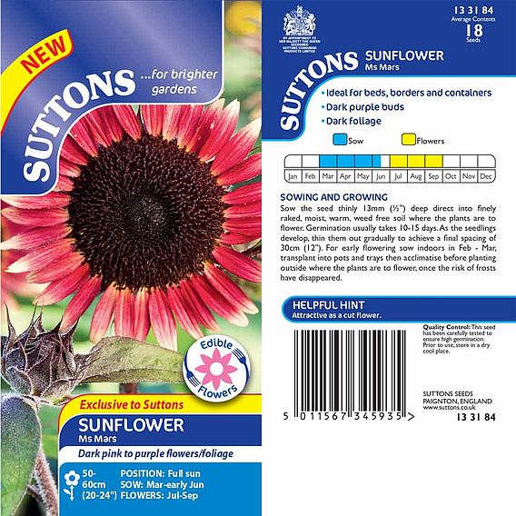 Sunflower 'Ms Mars' - Seeds