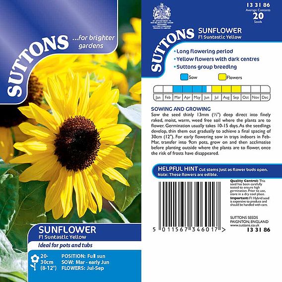 Sunflower F1 'Suntastic Yellow' - Seeds