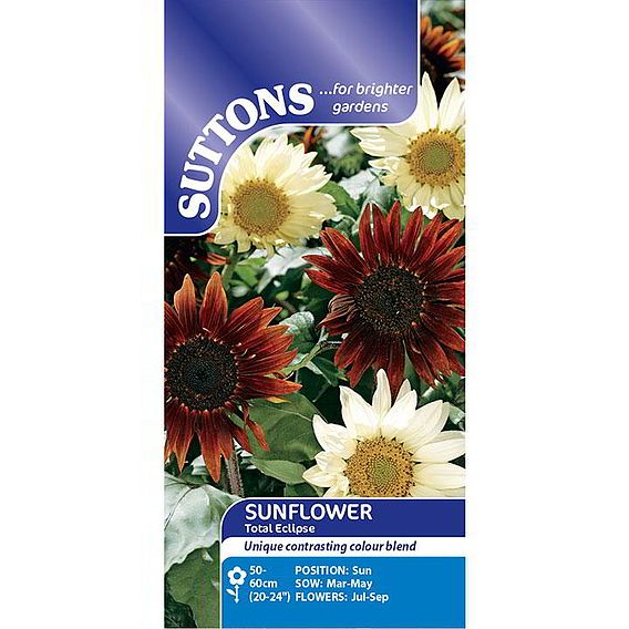 Sunflower 'Total Eclipse' - Seeds