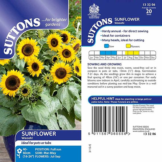 Sunflower 'Waooh!' - Seeds