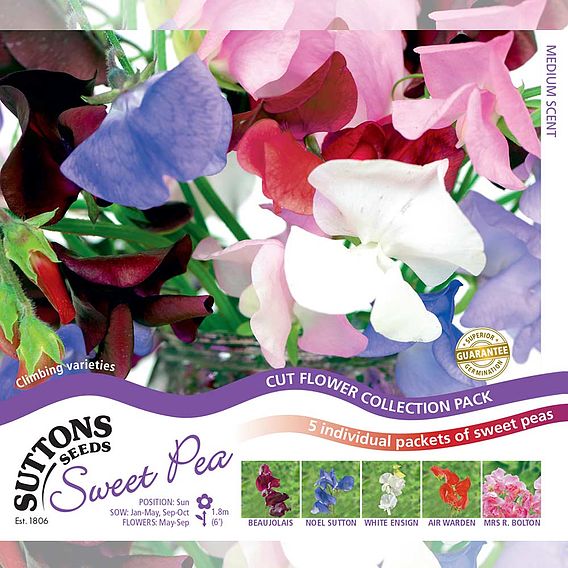 Sweet Pea Seeds - Exhibitors Collection