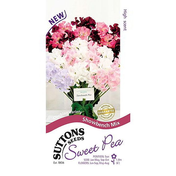 Sweet Pea Seeds - Showbench Mix