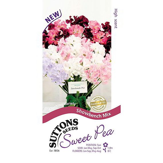 Sweet Pea 'Showbench Mix' - Seeds