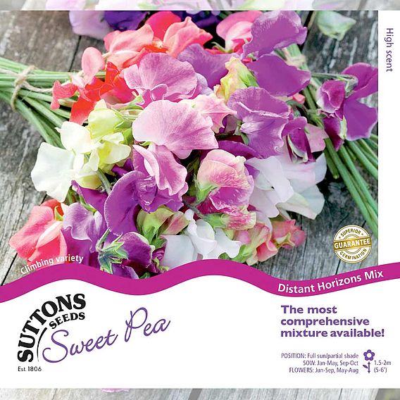 Sweet Pea 'Distant Horizons' - Seeds