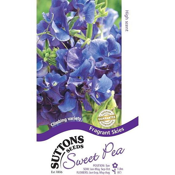Sweet Pea 'Fragrant Skies' - Seeds