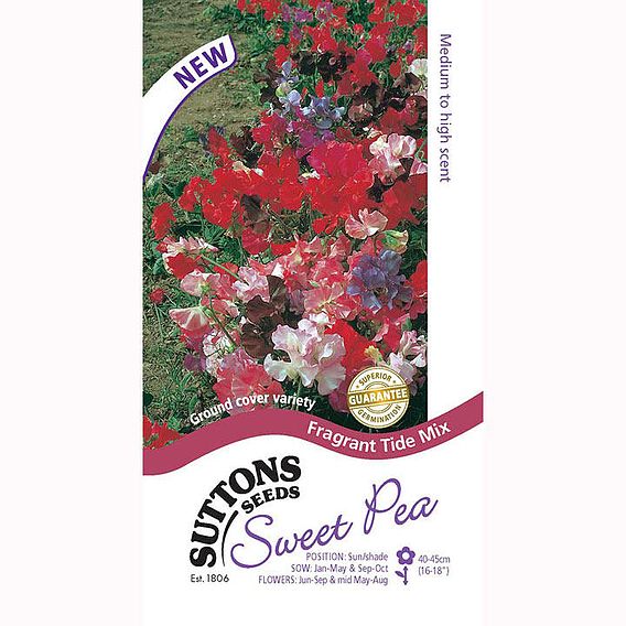 Sweet Pea 'Fragrant Tide Mix' - Seeds