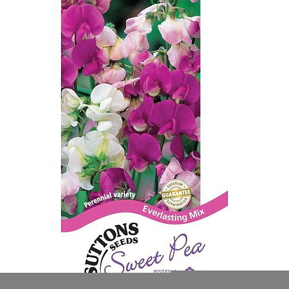 Sweet Pea 'Everlasting Mix' - Seeds