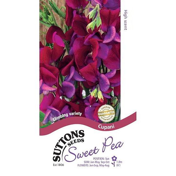 Sweet Pea Seeds - Cupani