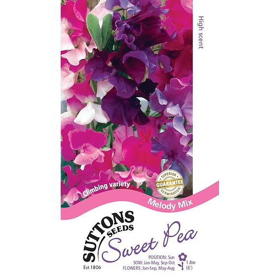 Sweet Pea 'Melody Mix' - Seeds