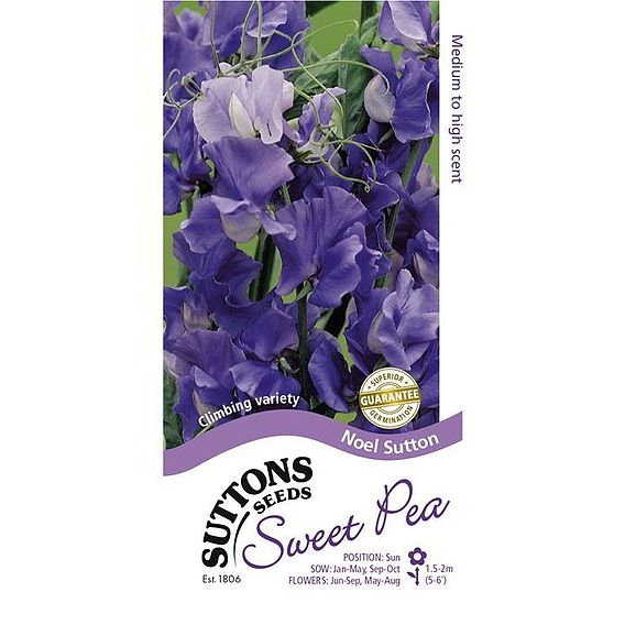 Sweet Pea Seeds - Noel Sutton