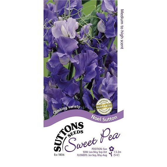 Sweet Pea 'Noel Sutton' - Seeds