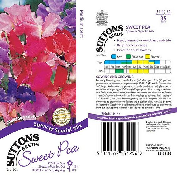 Sweet Pea 'Spencer Special Mix' - Seeds