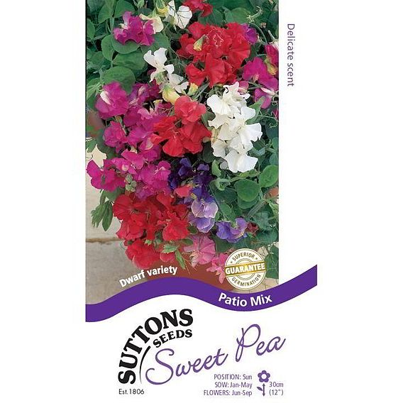 Sweet Pea 'Patio Mix' - Seeds