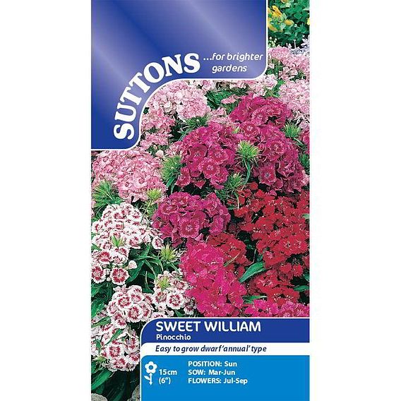 Sweet William 'Pinocchio' - Seeds