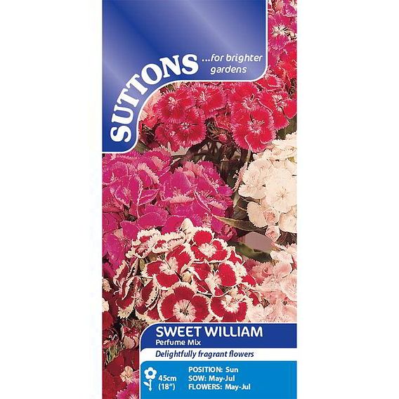 Sweet William 'Perfume Mix' - Seeds