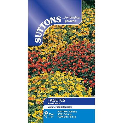 Tagetes tenuifolia 'Starfire Mix' - Seeds